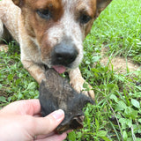 Don't Be Boaring - Boar Ears-Unclassified-Rover Pet Products