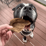 Don't Be Boaring - Boar Ears-Unclassified-Rover Pet Products