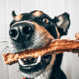 Don't Go Swimmin - Shark Cartilage-Dog Treat-Rover Pet Products