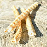 Don't Go Swimmin - Shark Cartilage-Dog Treat-Rover Pet Products