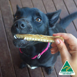 Don't Go Swimmin - Shark Cartilage-Dog Treat-Rover Pet Products