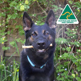 Don't Go Swimmin - Shark Cartilage-Dog Treat-Rover Pet Products