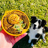 Earth eCoin (Flower)-Slow Feeder-Rover Pet Products