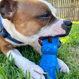 Easter Nylon Bunny-Dog Toy-Rover Pet Products