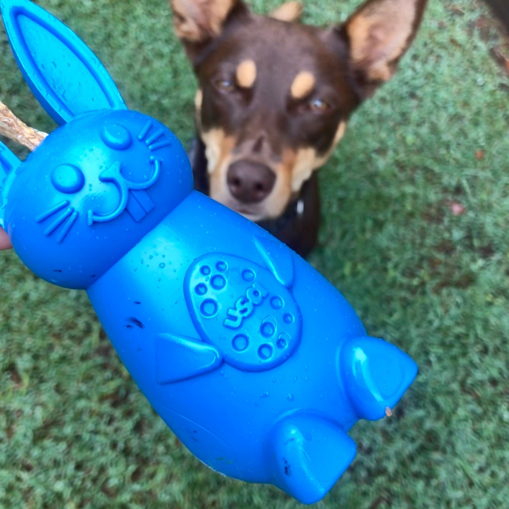 Easter Nylon Bunny-Dog Toy-Rover Pet Products