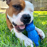 Easter Nylon Bunny-Dog Toy-Rover Pet Products