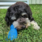 Easter Nylon Bunny-Dog Toy-Rover Pet Products