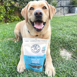 Feelin' Beefy - Beef Meal Topper-Dog Treat-Rover Pet Products