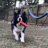 Firecracker Training Dummy-Dog Toy-Rover Pet Products