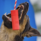 Firecracker Training Dummy-Dog Toy-Rover Pet Products