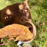 Flap Ya Wings - Chicken Wing Bites-Dog Treat-Rover Pet Products