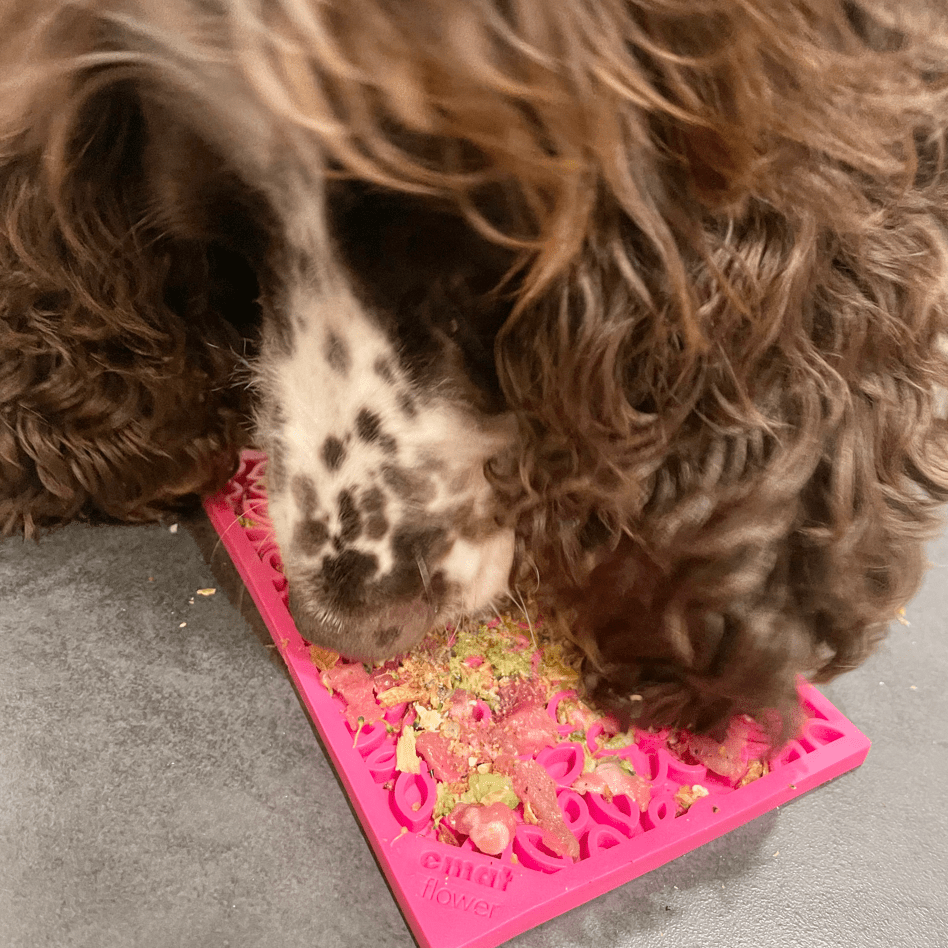 Flower Power eMat Enrichment Lick Mat-Slow Feeder-Rover Pet Products