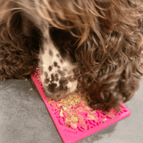 Flower Power eMat Enrichment Lick Mat-Slow Feeder-Rover Pet Products