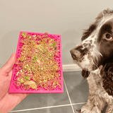 Flower Power eMat Enrichment Lick Mat-Slow Feeder-Rover Pet Products