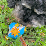 Flying Saucer-Dog Toy-Rover Pet Products