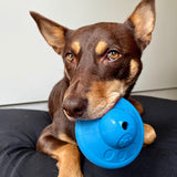 Flying Saucer-Dog Toy-Rover Pet Products