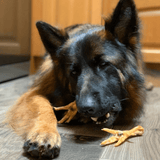 Foot LOOSE! - Chicken Feet-Dog Treat-Rover Pet Products