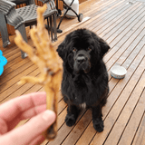 Foot LOOSE! - Chicken Feet-Dog Treat-Rover Pet Products