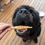 Foot LOOSE! - Chicken Feet-Dog Treat-Rover Pet Products