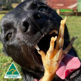 Foot LOOSE! - Chicken Feet-Dog Treat-Rover Pet Products