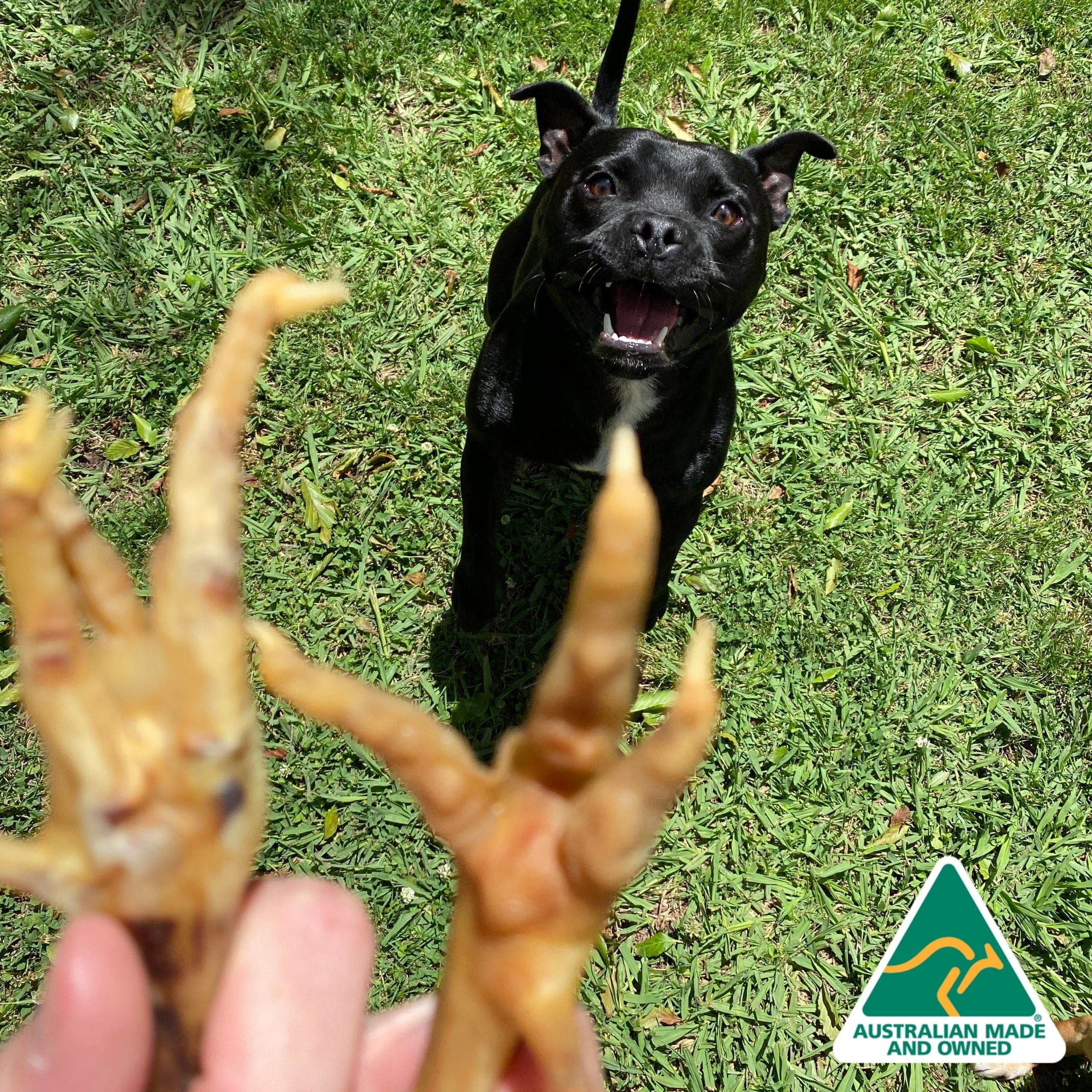 Foot LOOSE! - Chicken Feet-Dog Treat-Rover Pet Products