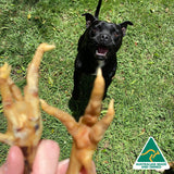 Foot LOOSE! - Chicken Feet-Dog Treat-Rover Pet Products