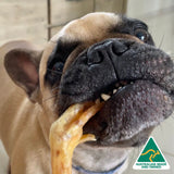 Foot LOOSE! - Chicken Feet-Dog Treat-Rover Pet Products