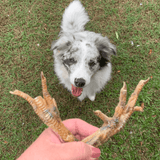 Foot LOOSE! - Chicken Feet-Dog Treat-Rover Pet Products