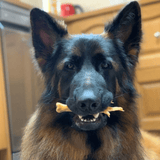 Foot LOOSE! - Chicken Feet-Dog Treat-Rover Pet Products