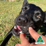 Fork The Pork - Pork Lung-Dog Treat-Rover Pet Products