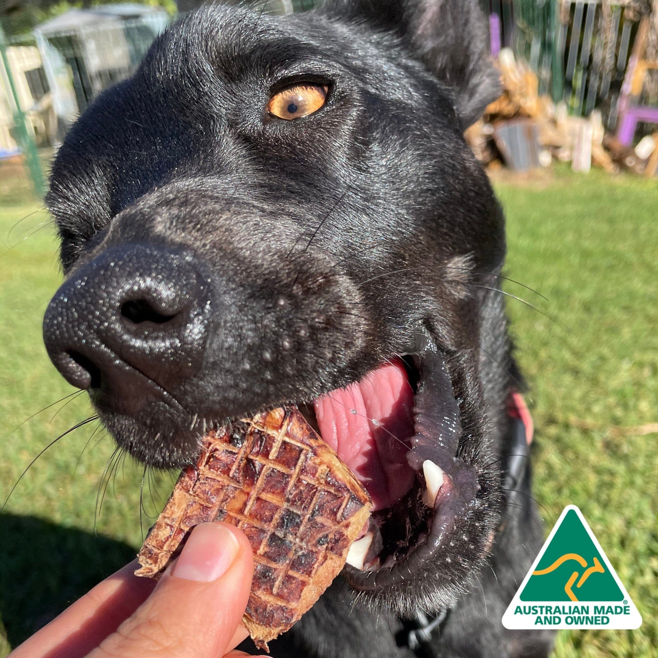 Fork The Pork - Pork Lung-Dog Treat-Rover Pet Products