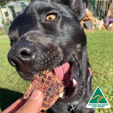 Fork The Pork - Pork Lung-Dog Treat-Rover Pet Products