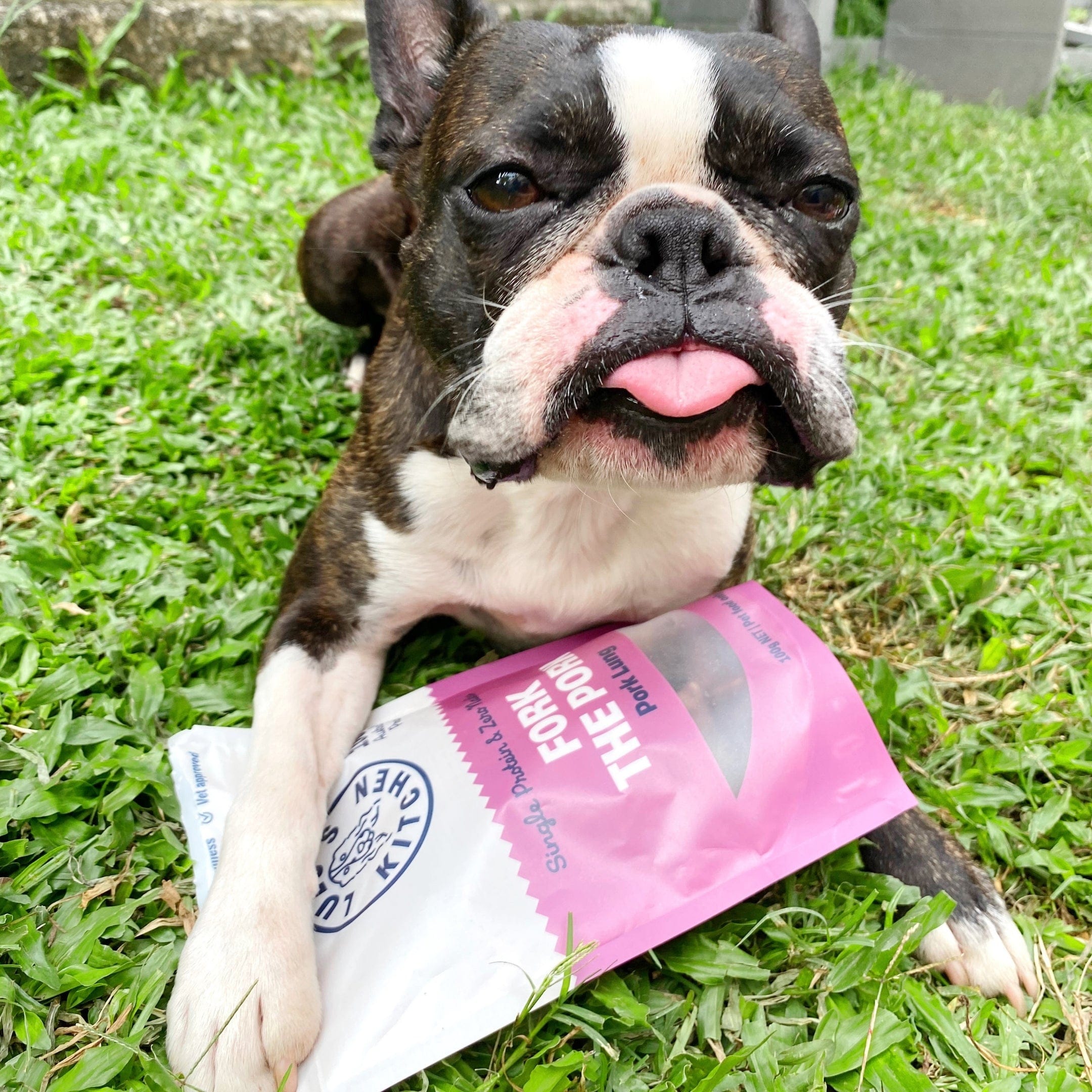 Fork The Pork - Pork Lung-Dog Treat-Rover Pet Products