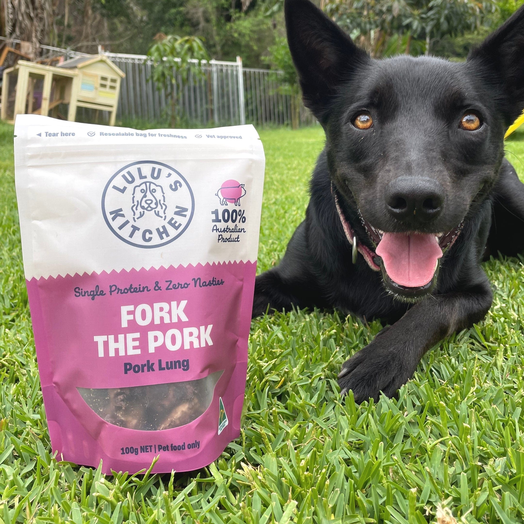 Fork The Pork - Pork Lung-Dog Treat-Rover Pet Products