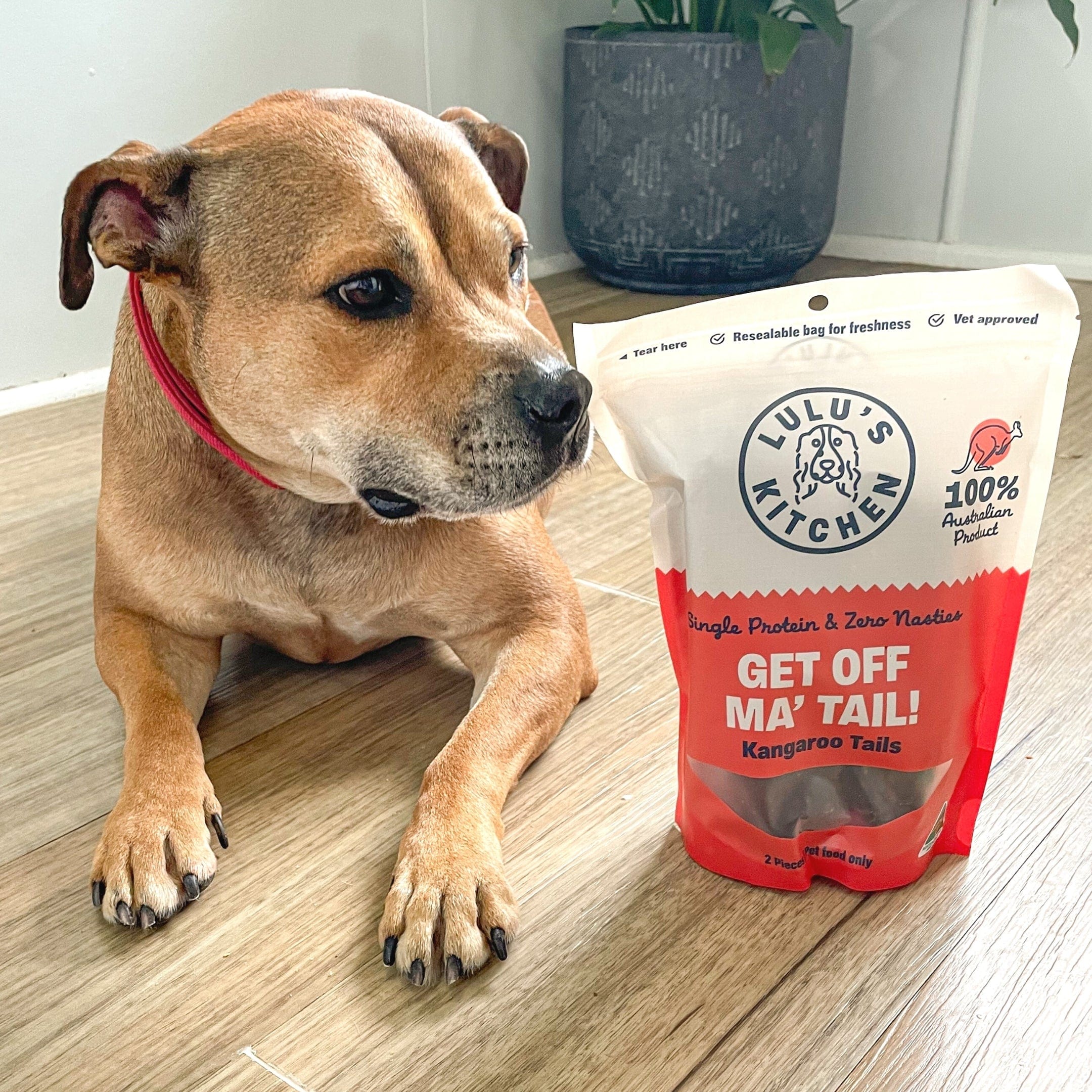 Get Off Ma' Tail - Kangaroo Tails-Dog Treat-Rover Pet Products