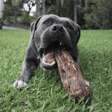 Get Off Ma' Tail - Kangaroo Tails-Dog Treat-Rover Pet Products