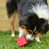 Gift Box-Dog Toy-Rover Pet Products