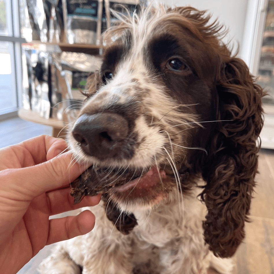 Go Bonkers - Venison Jerky-Dog Treat-Rover Pet Products