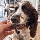 Go Bonkers - Venison Jerky-Dog Treat-Rover Pet Products