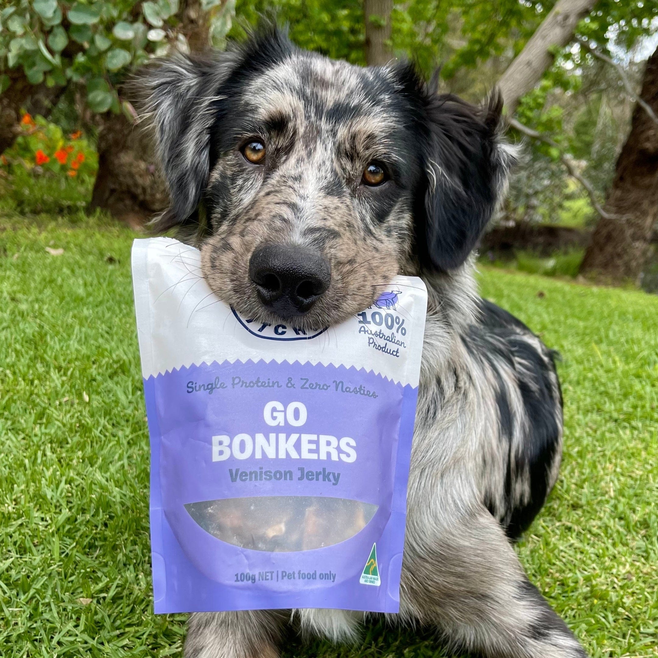 Go Bonkers - Venison Jerky-Dog Treat-Rover Pet Products