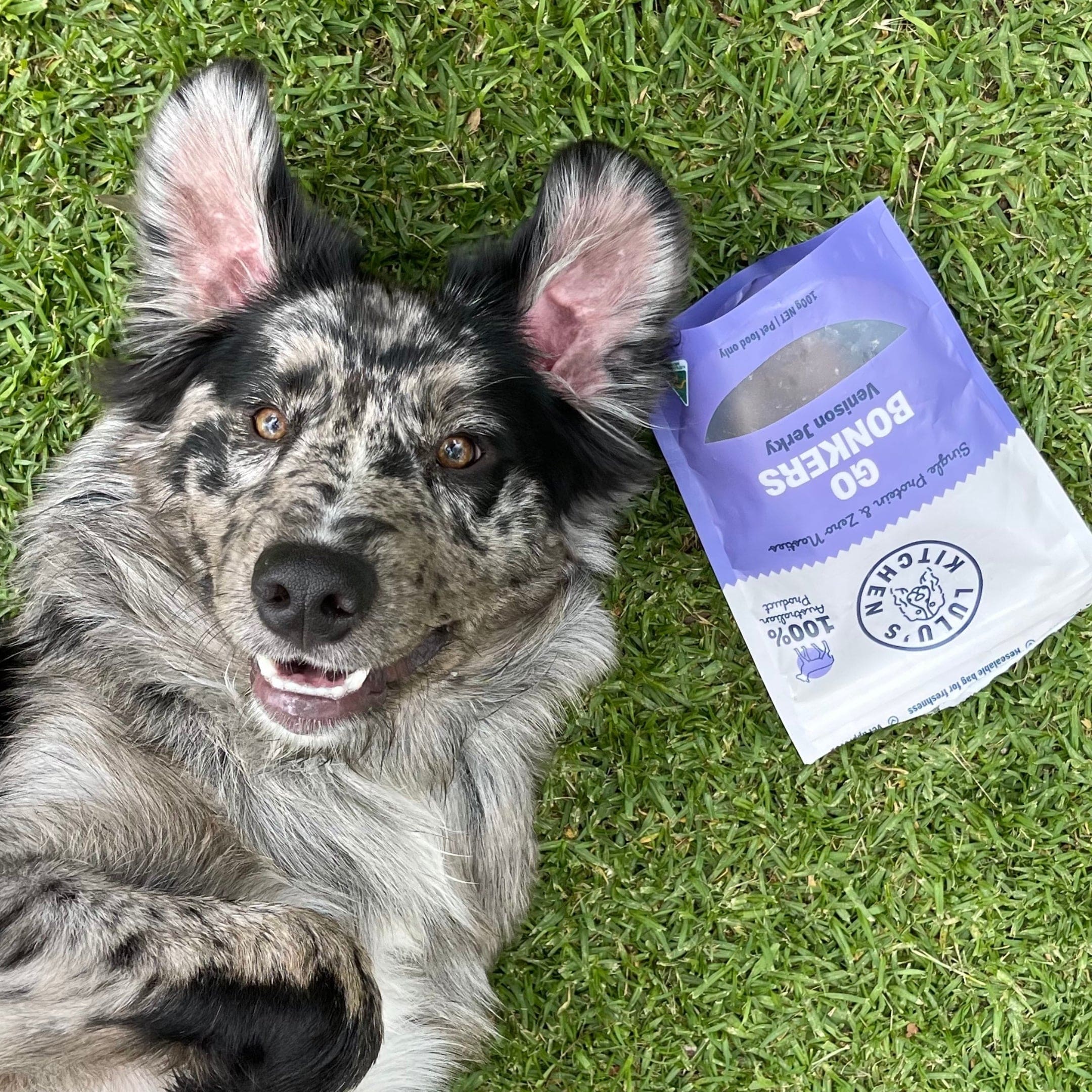 Go Bonkers - Venison Jerky-Dog Treat-Rover Pet Products