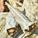 Gone Fishn' - Shark Tails-Dog Treat-Rover Pet Products