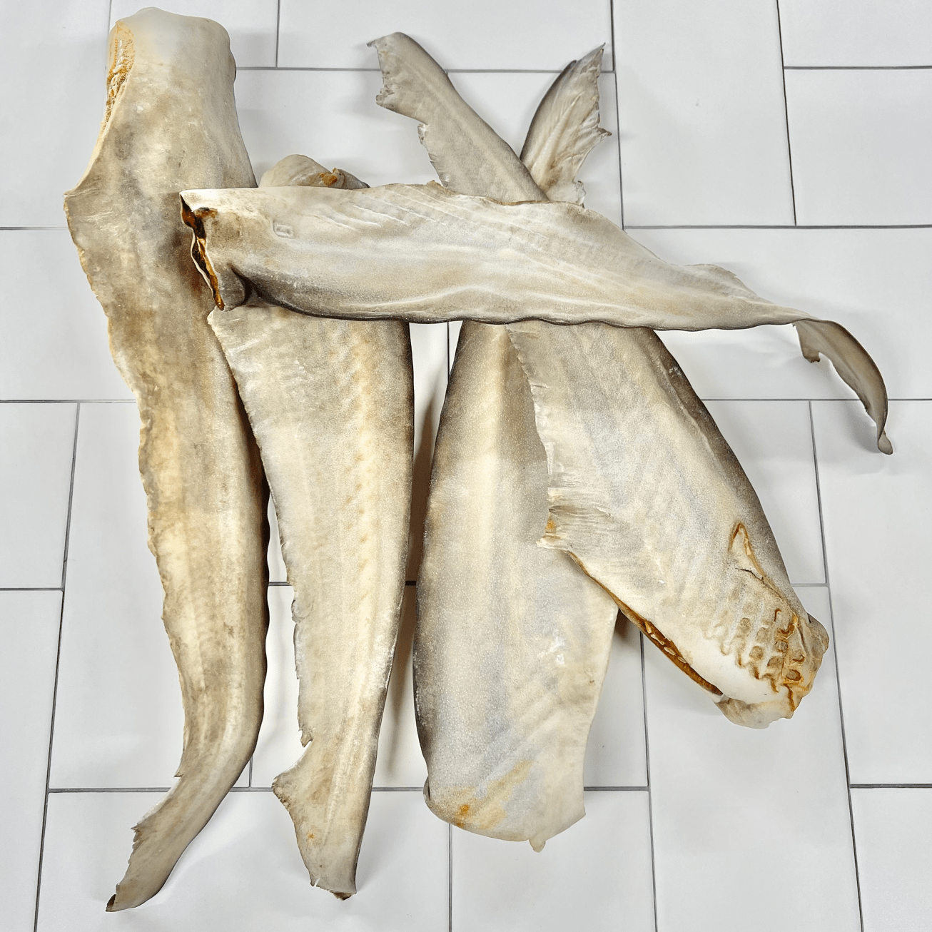 Gone Fishn' - Shark Tails-Dog Treat-Rover Pet Products