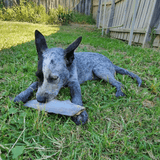 Gone Fishn' - Shark Tails-Dog Treat-Rover Pet Products