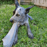 Gone Fishn' - Shark Tails-Dog Treat-Rover Pet Products