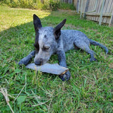 Gone Fishn' - Shark Tails-Dog Treat-Rover Pet Products