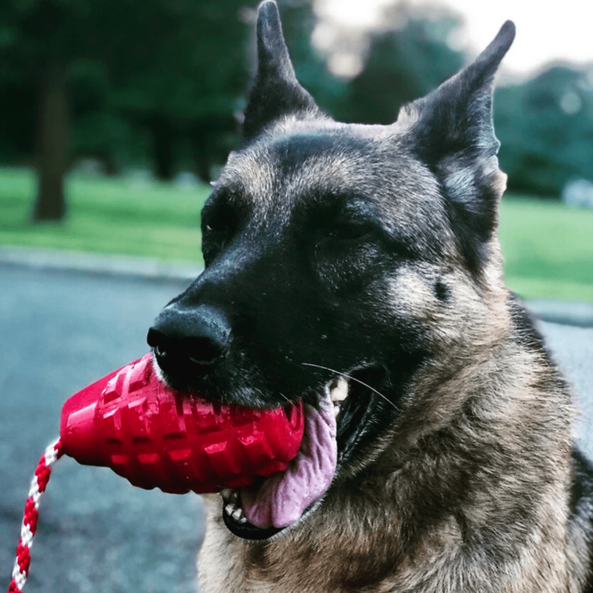 Grenade Reward Toy (with rope)-Dog Toy-Rover Pet Products