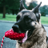 Grenade Reward Toy (with rope)-Dog Toy-Rover Pet Products