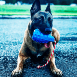 Grenade Reward Toy (with rope)-Dog Toy-Rover Pet Products