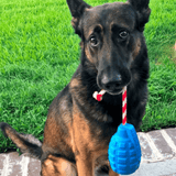 Grenade Reward Toy (with rope)-Dog Toy-Rover Pet Products